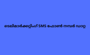 ടെലിമാർക്കറ്റിംഗ് SMS ഫോൺ നമ്പർ ഡാറ്റ